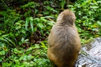 2023.6.19 Zhangjiajie National Forest Park, Zhangjiajie, Hunan