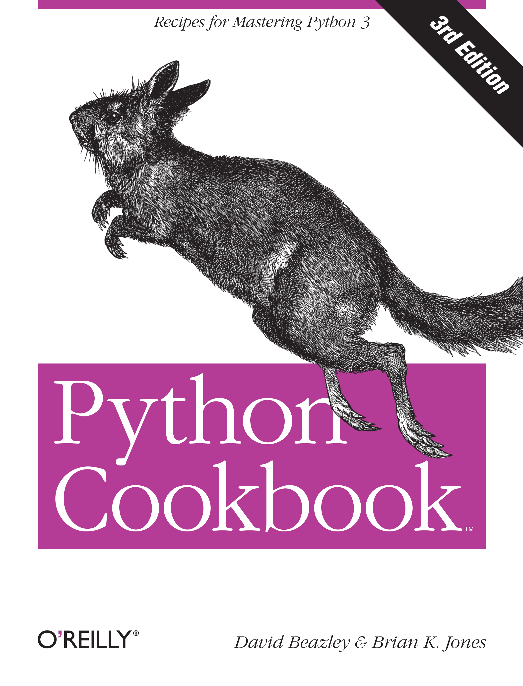 Python Cookbook英文版